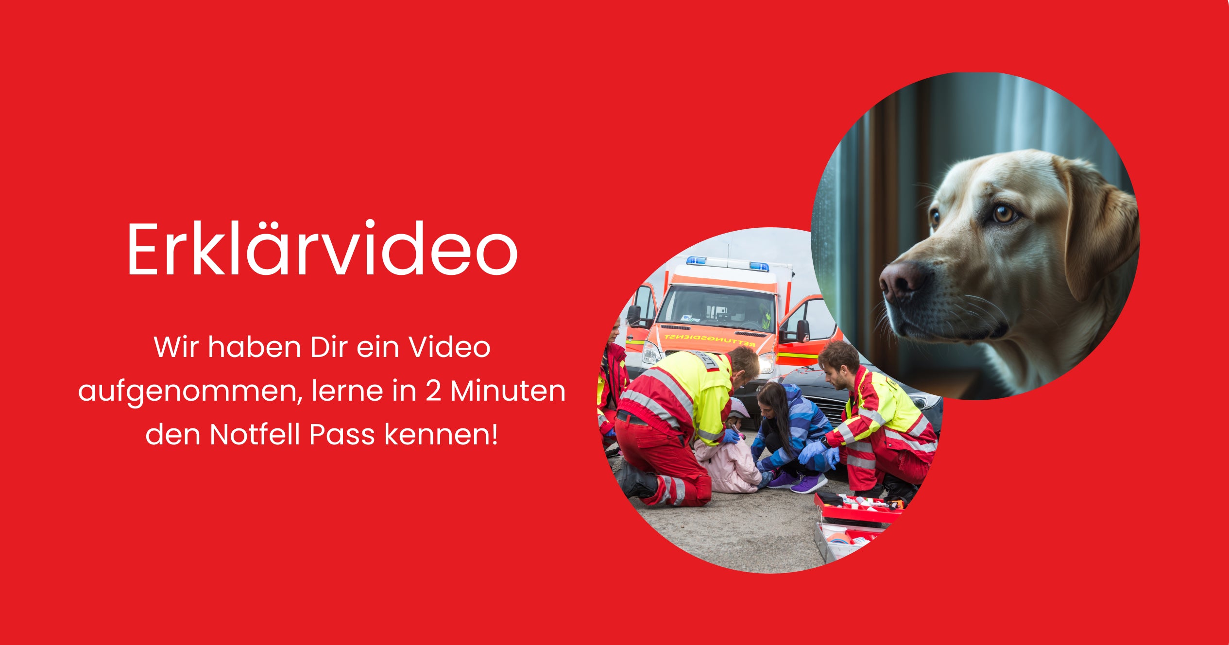 Video laden: Video Alt text