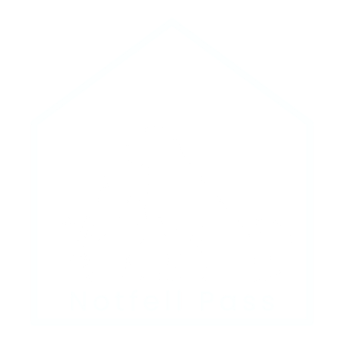 Logo-Shopify